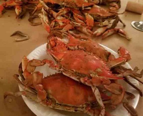 david tours crab feast 2022